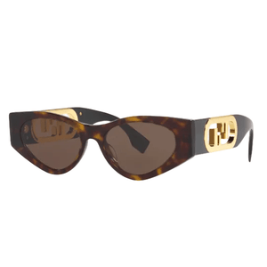 Fendi Frame Tortoise Lenses Brown