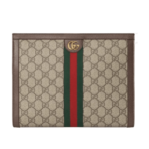 Gucci Ophidia Bag