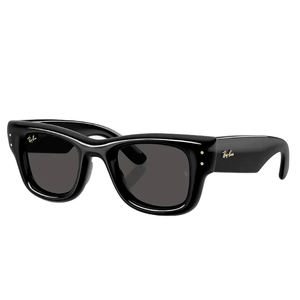 Ray-Ban Sunglasses Wayfarer Puffer Polished Black