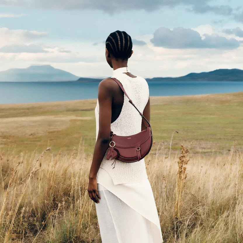 Polène  Bag - Numéro Dix - Gallop Black Cherry 5