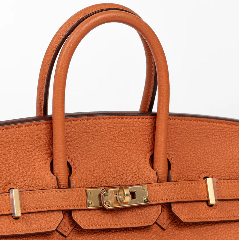 Hermes Birkin 25 Orange in Togo Leather with Gold Hardware 5