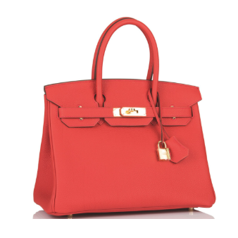 Hermes Birkin 25 Red in Togo Leather With Gold Hardware 2