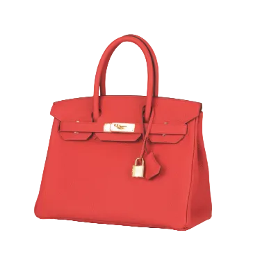 Hermes Birkin 25 Red in Togo Leather With Gold Hardware 4