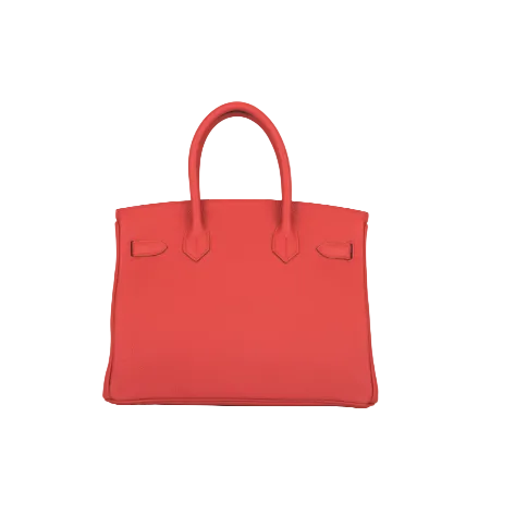 Hermes Birkin 25 Red in Togo Leather With Gold Hardware 3