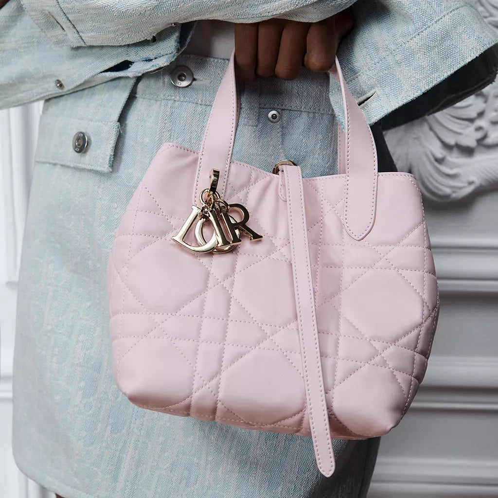 Dior Toujours Vertical Nano Tote Bag 6