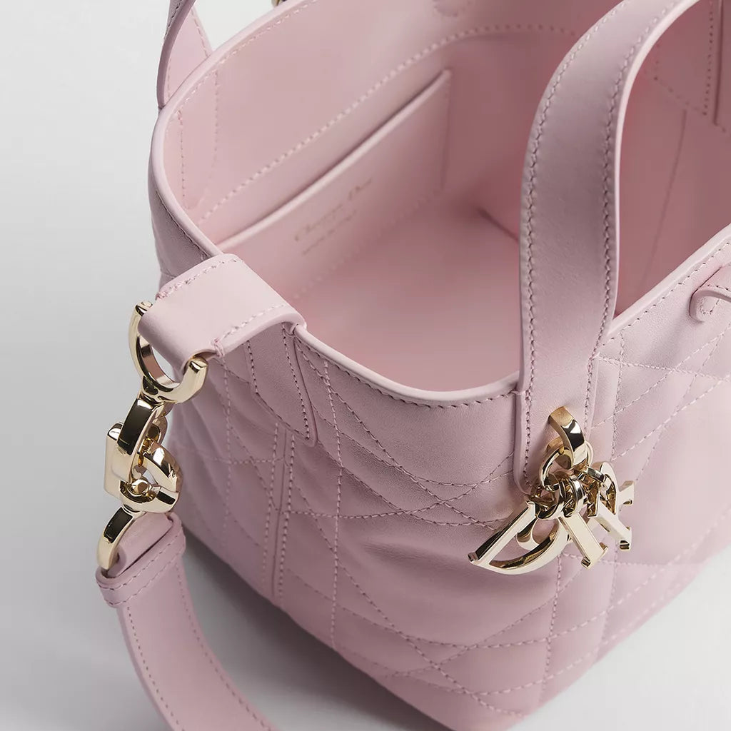 Dior Toujours Vertical Nano Tote Bag 5