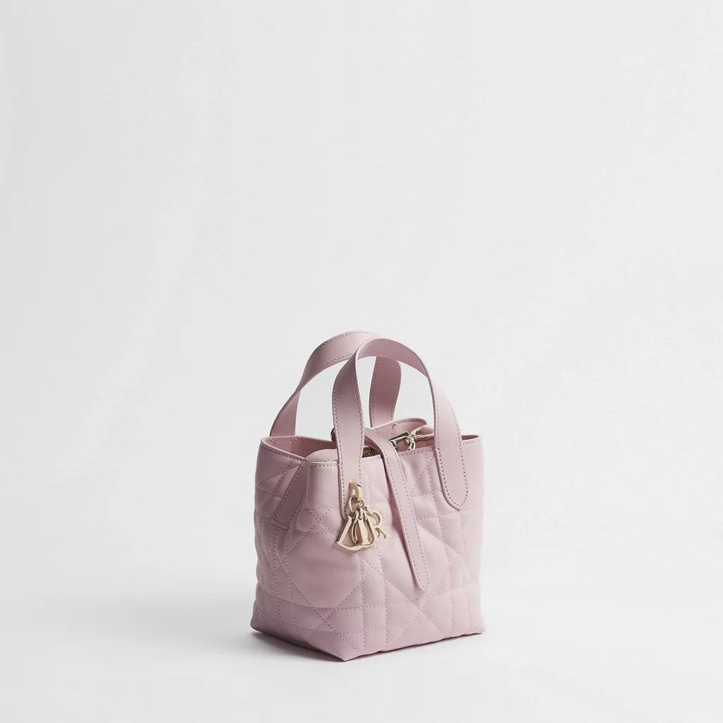 Dior Toujours Vertical Nano Tote Bag 2