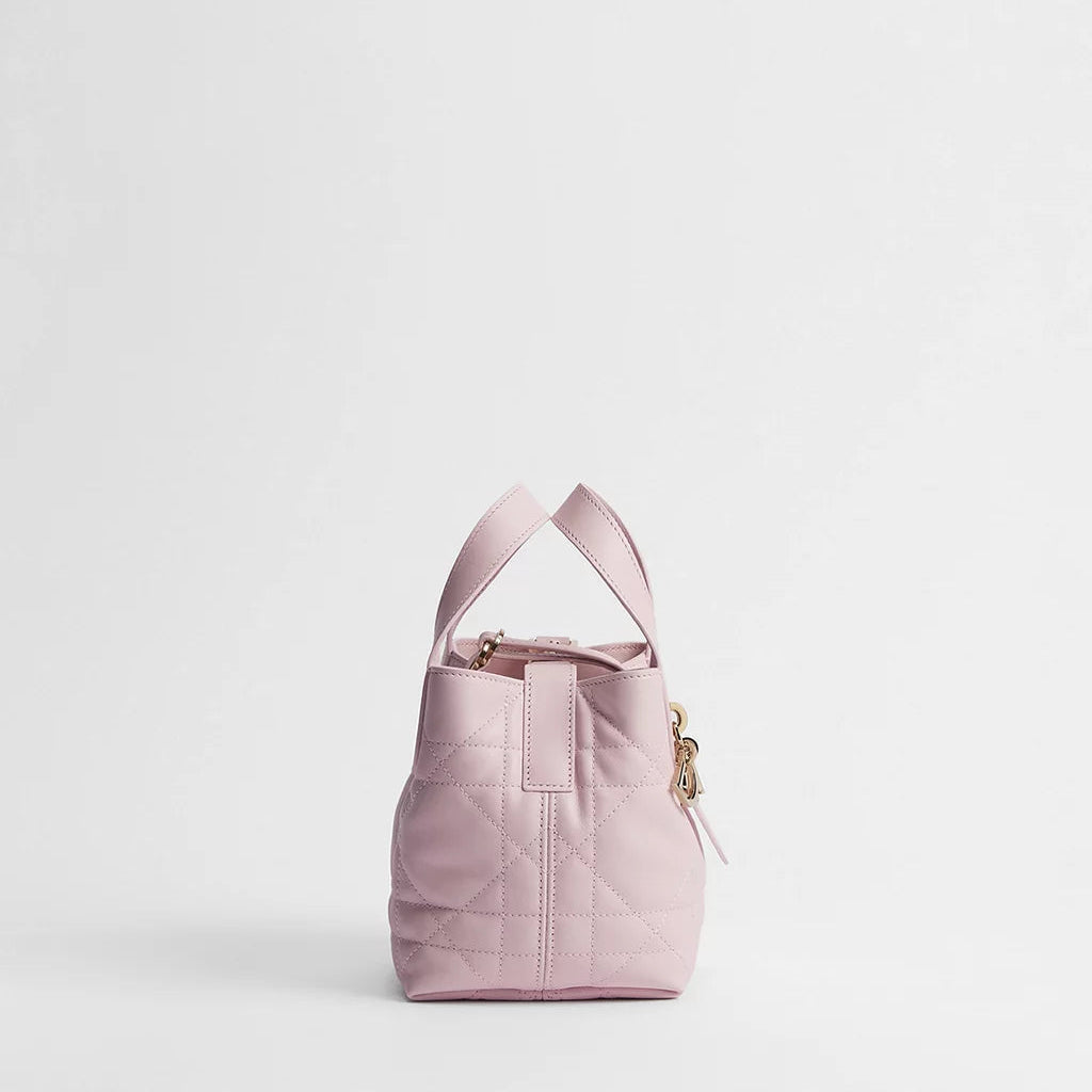 Dior Toujours Vertical Nano Tote Bag 3
