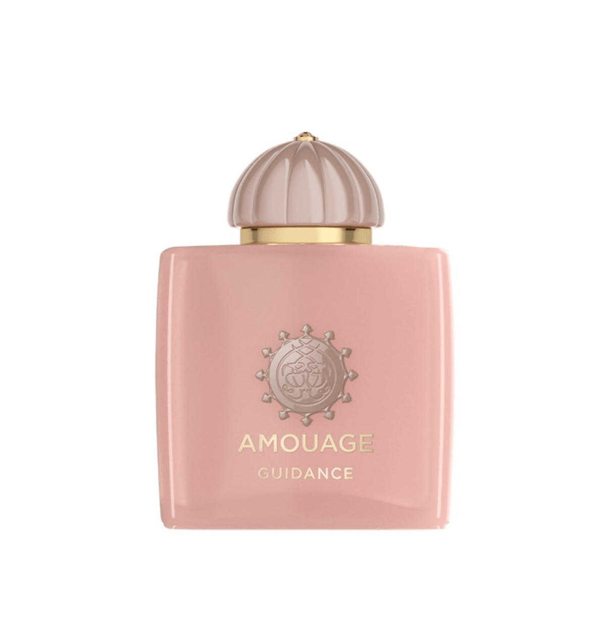 Amouage Guidance EDP | Floral | Amber 100 ml 6