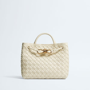 Bottega Small Andiamo Bag