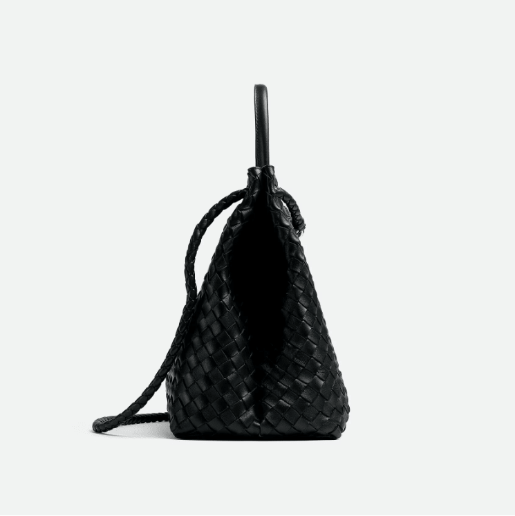 Bottega Veneta Large Andiamo Black 4