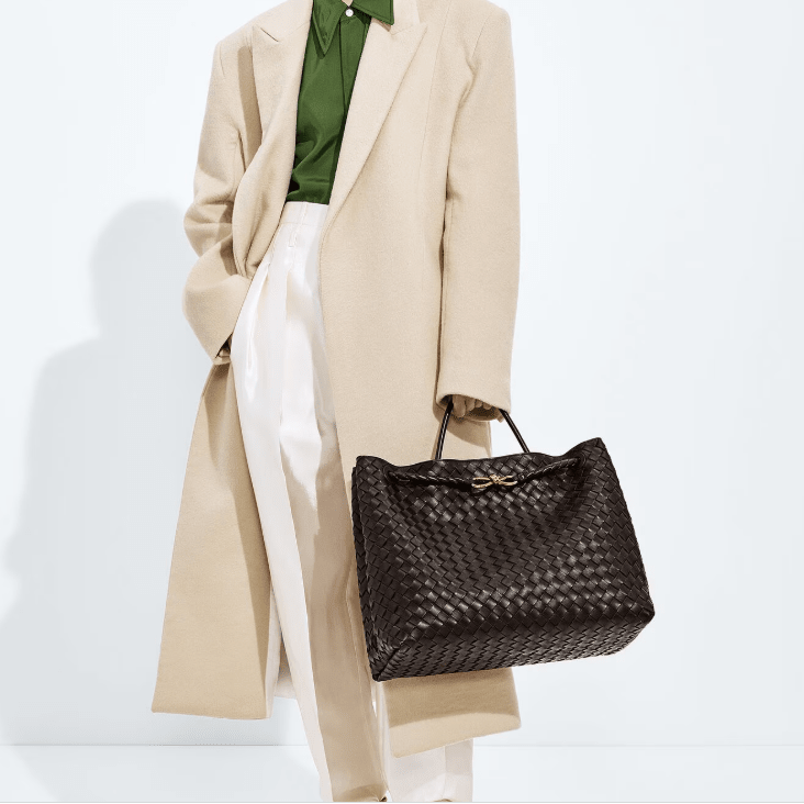 Bottega Veneta Large Andiamo Fondant 2