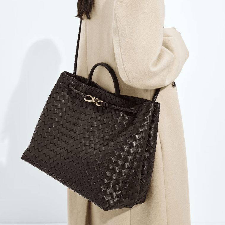 Bottega Veneta Large Andiamo Fondant 3
