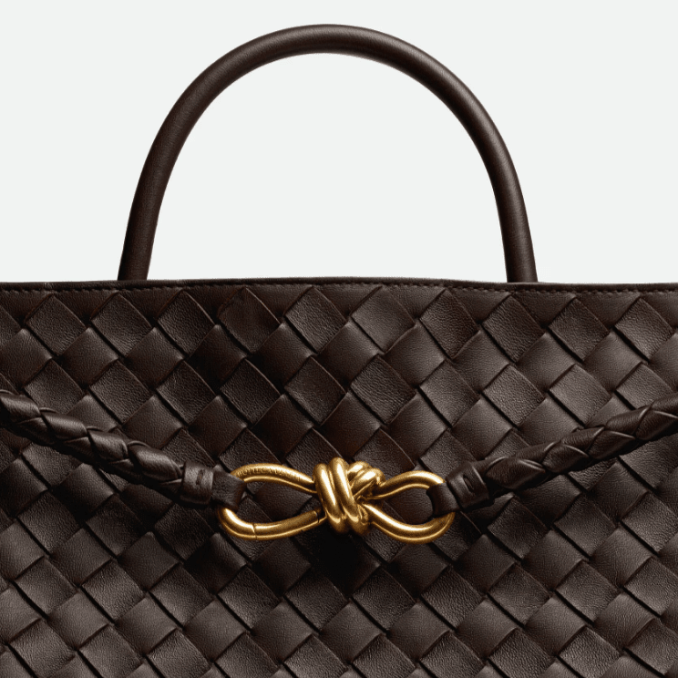 Bottega Veneta Large Andiamo Fondant 6