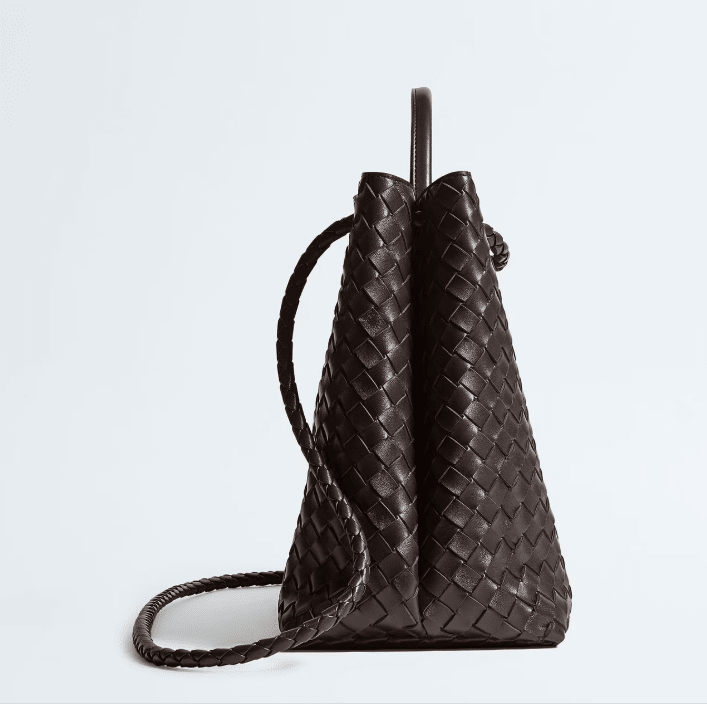 Bottega Veneta Large Andiamo Fondant 5