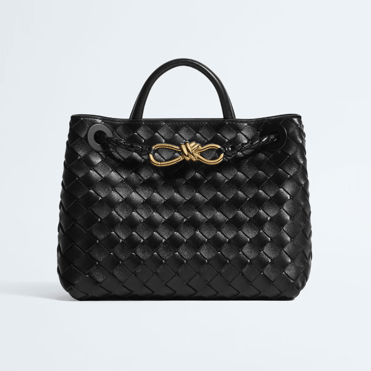 Bottega Veneta Small Andiamo Black Leather Bag