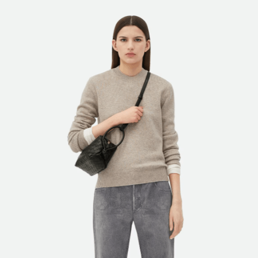 Bottega Small Loop Bag 4