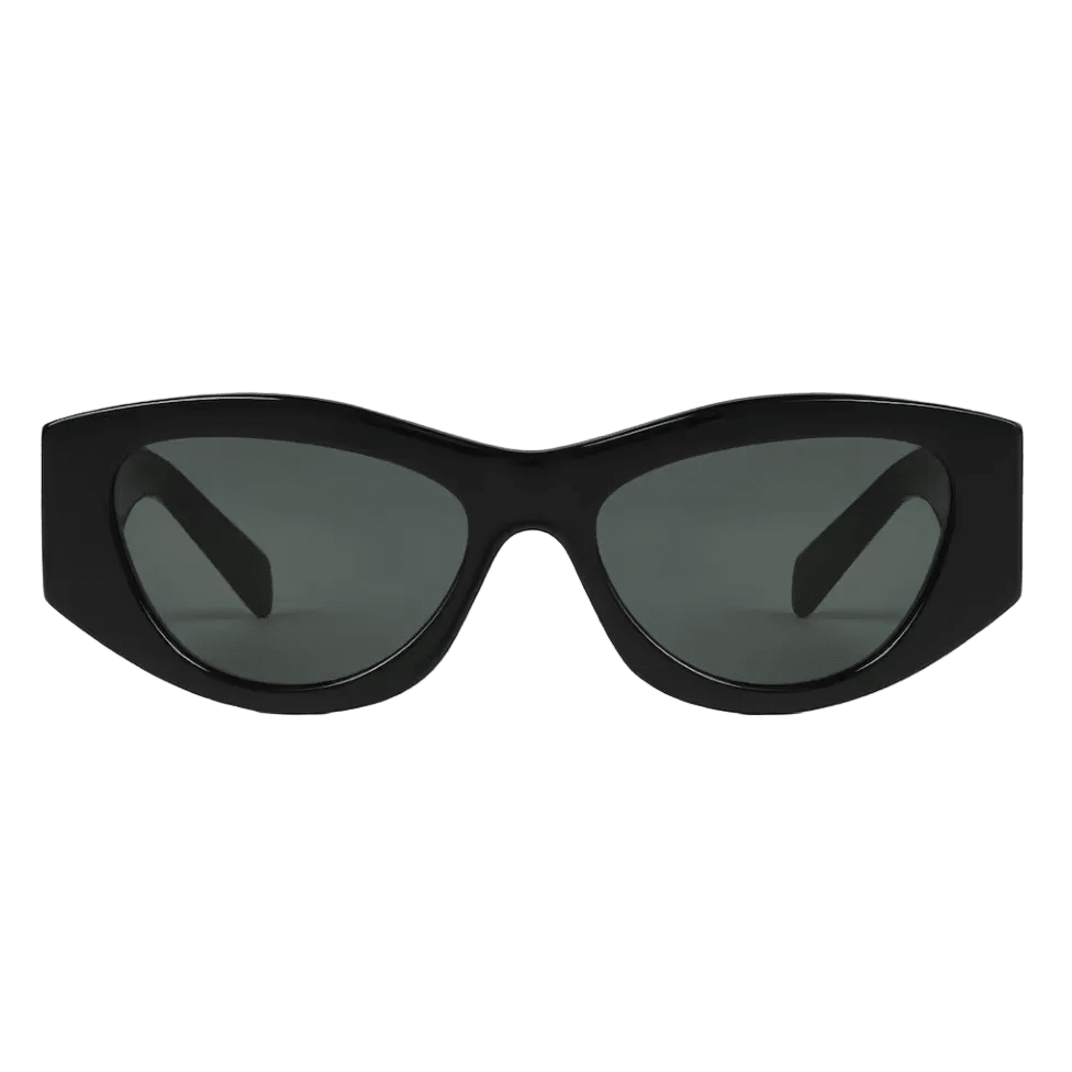 Celine Triomphe 15 Sunglasses in Acetate Black 3