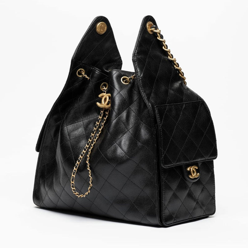 Chanel 25 Handbag Medium 2