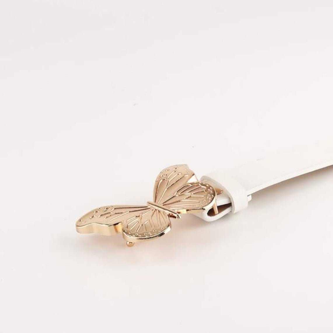 Dior Butterfly Buckle Belt With Punch Tool 2