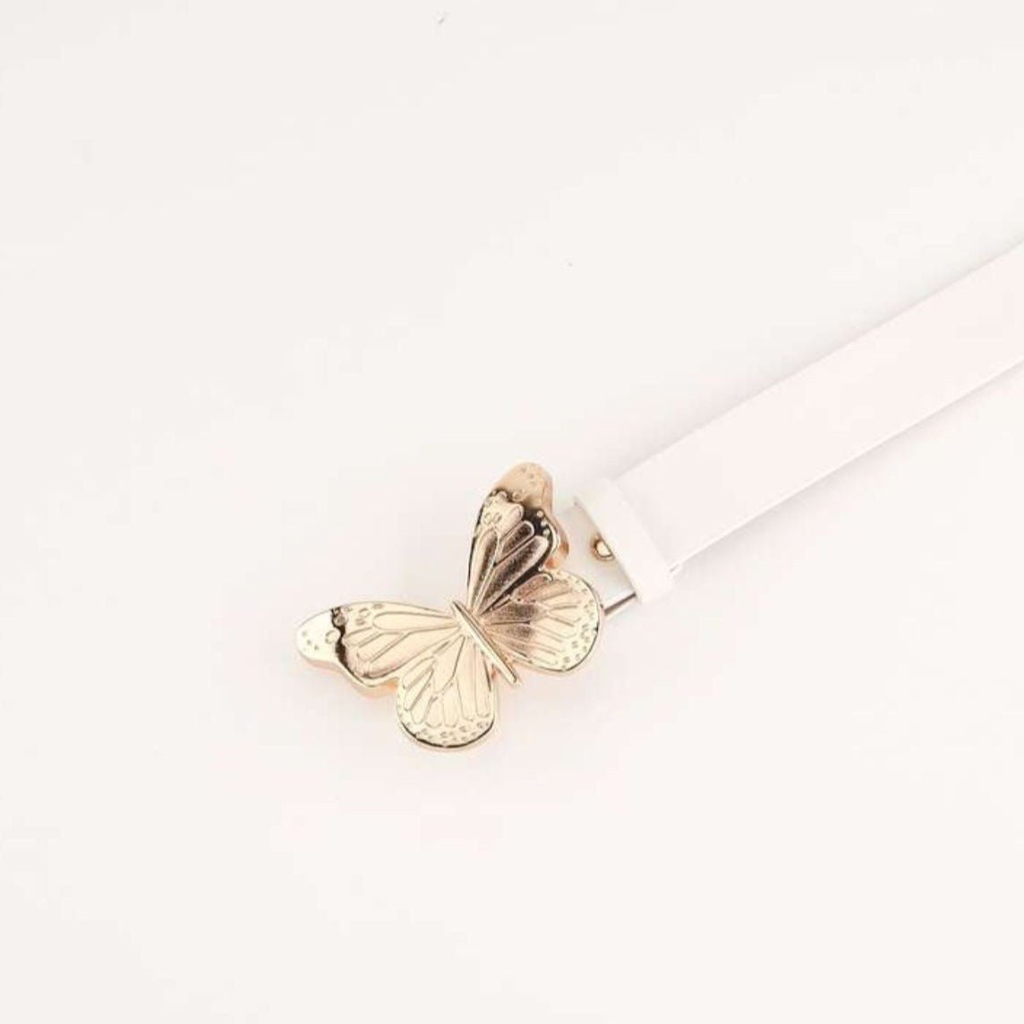 Dior Butterfly Buckle Belt With Punch Tool 3