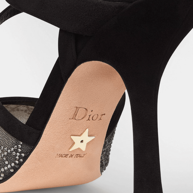Dior Capture Pump Black Transparent Mesh with Silver-Tone Strass Cannage Motif 2