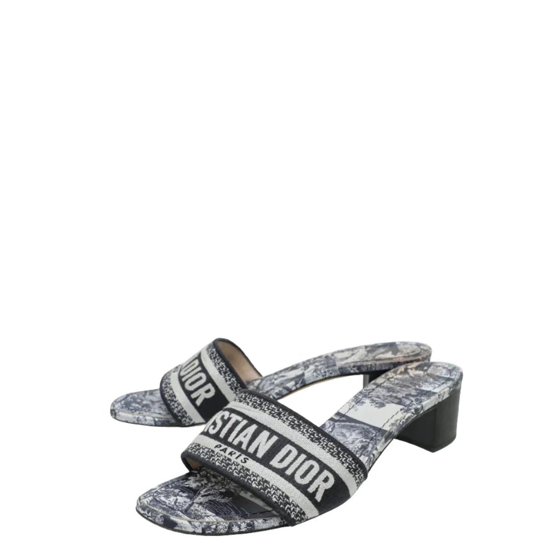 Dior Dway Toile De Jouy Embroidered 4