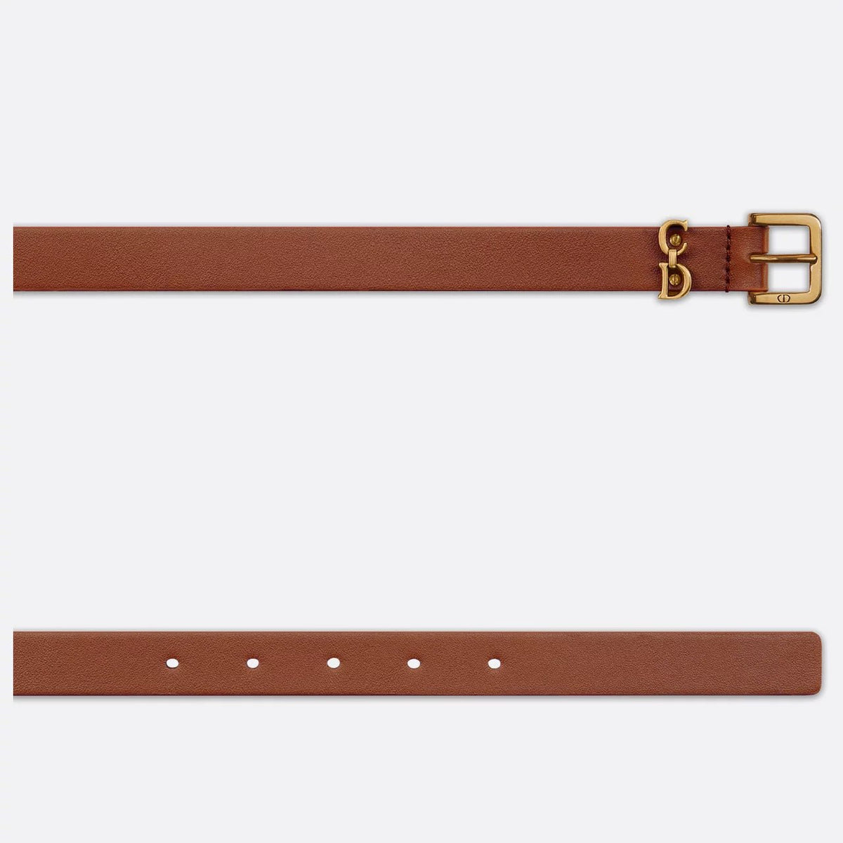 Dior Saddle Loop Belt Golden Saddle Smooth Calfskin 2