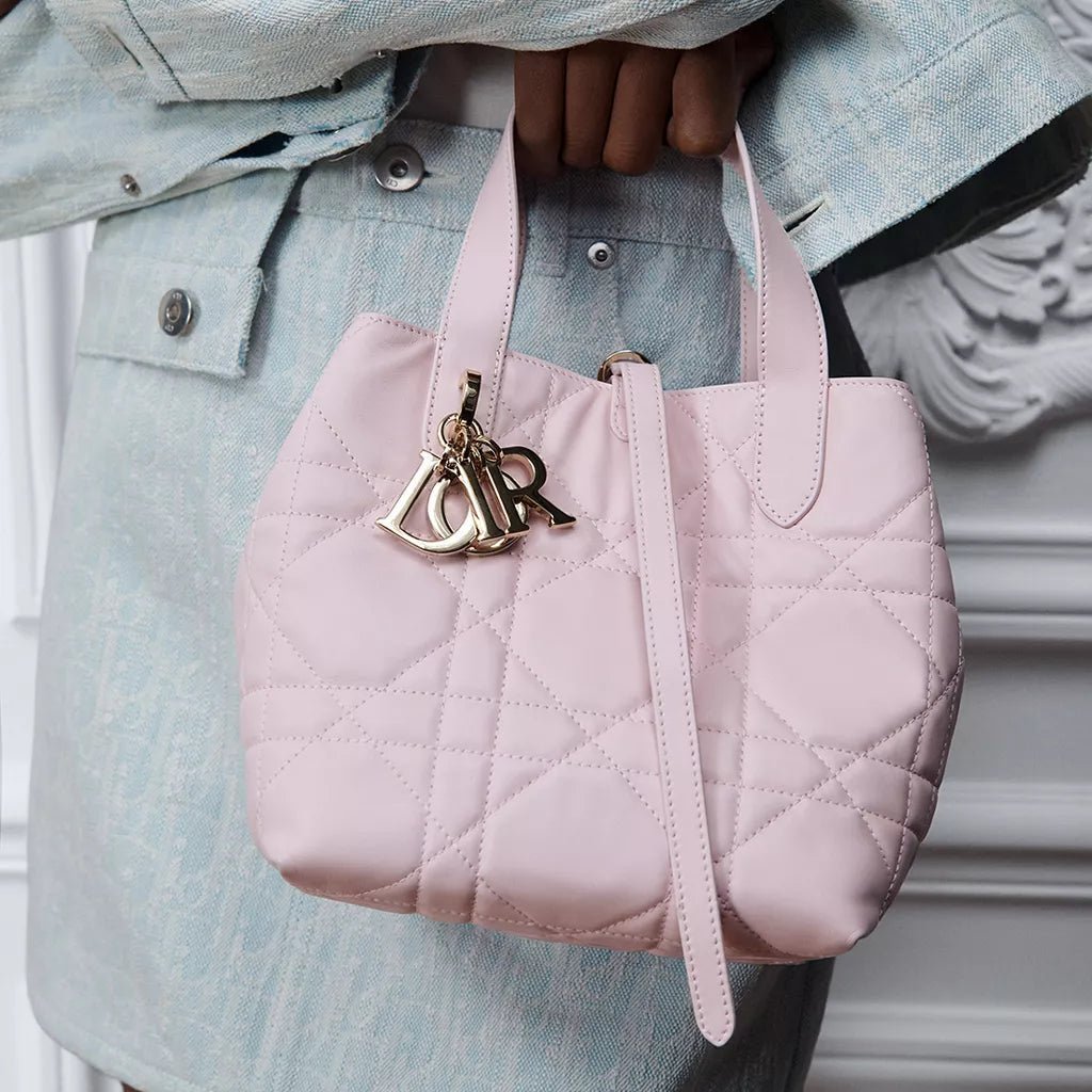 Dior Toujours Vertical Nano Tote Bag 6