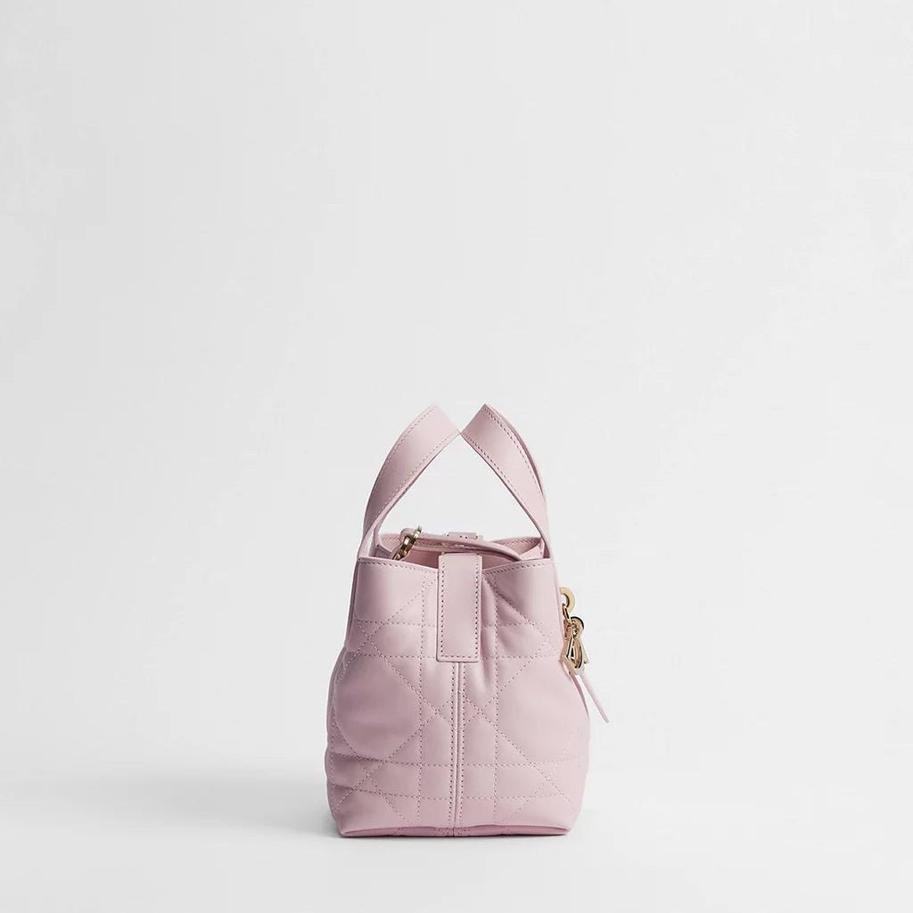 Dior Toujours Vertical Nano Tote Bag 3