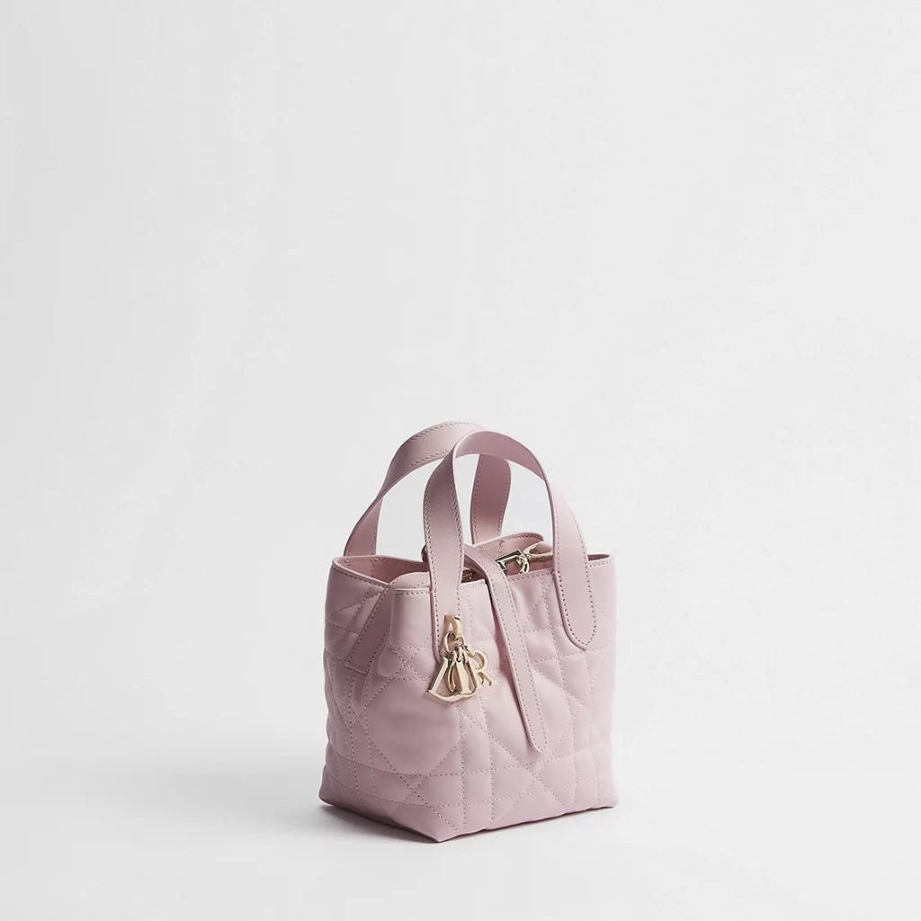 Dior Toujours Vertical Nano Tote Bag 2