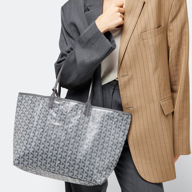 Goyard Saint Louis MM Bag Tote With Pochette Grey 9
