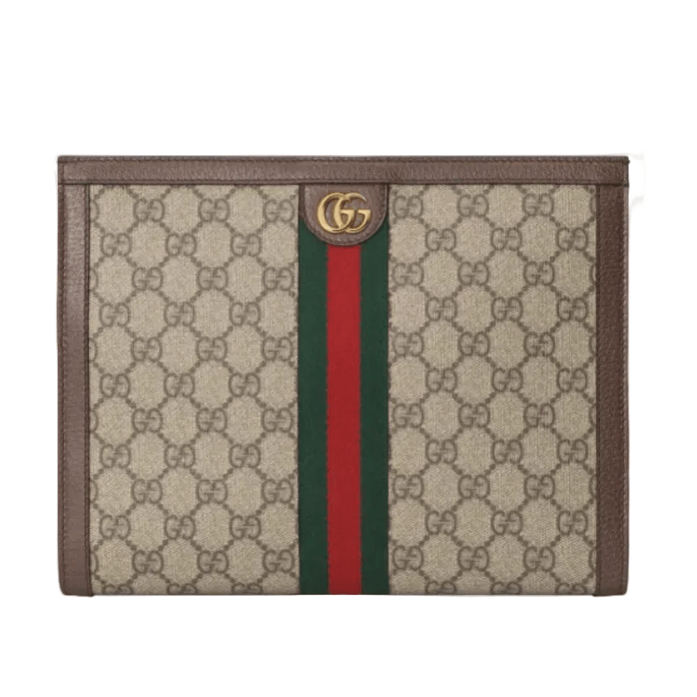 Gucci Ophidia Bag 1