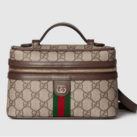 Gucci Ophidia Small Vanity Bag