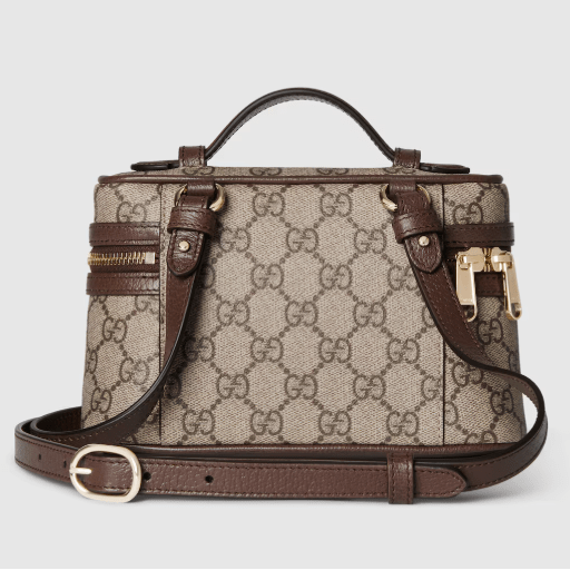 Gucci Ophidia Small Vanity Bag 2