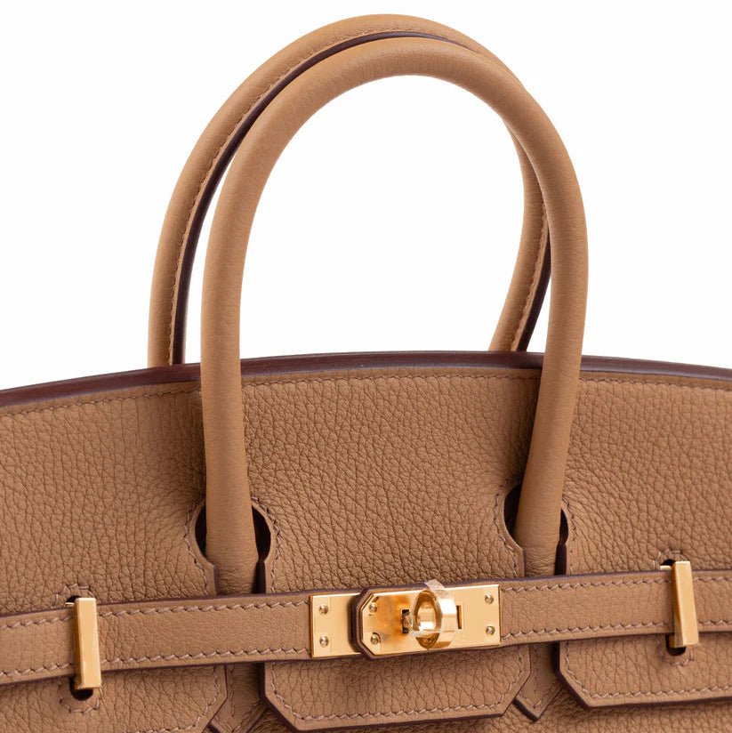 Hermès Birkin 25 Biscuit in Togo Leather With Gold Hardware 5