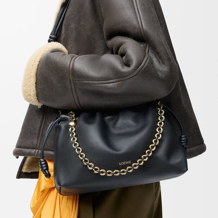 Loewe Medium Flamenco Purse in Mellow 3