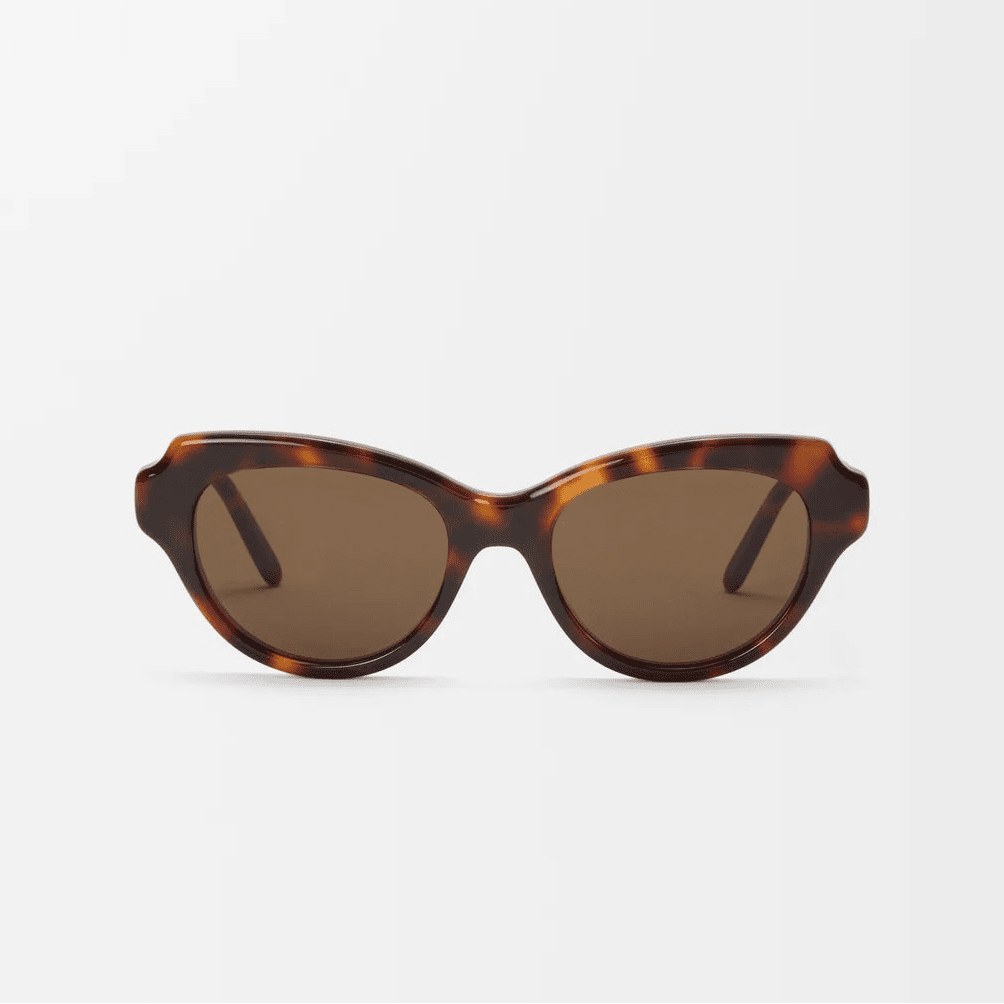 Loewe Swan Slim Sunglasses Havana 2