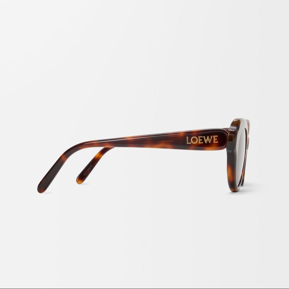 Loewe Swan Slim Sunglasses Havana 3