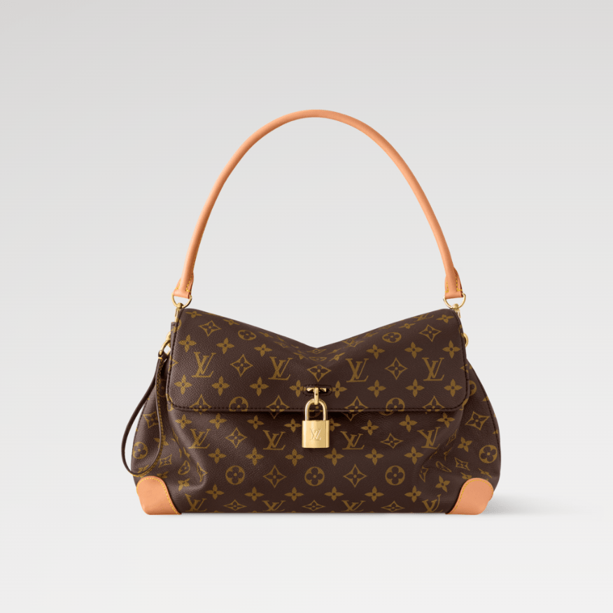 Louis Vuitton Bouncing Hide Away MM LV Bag 1