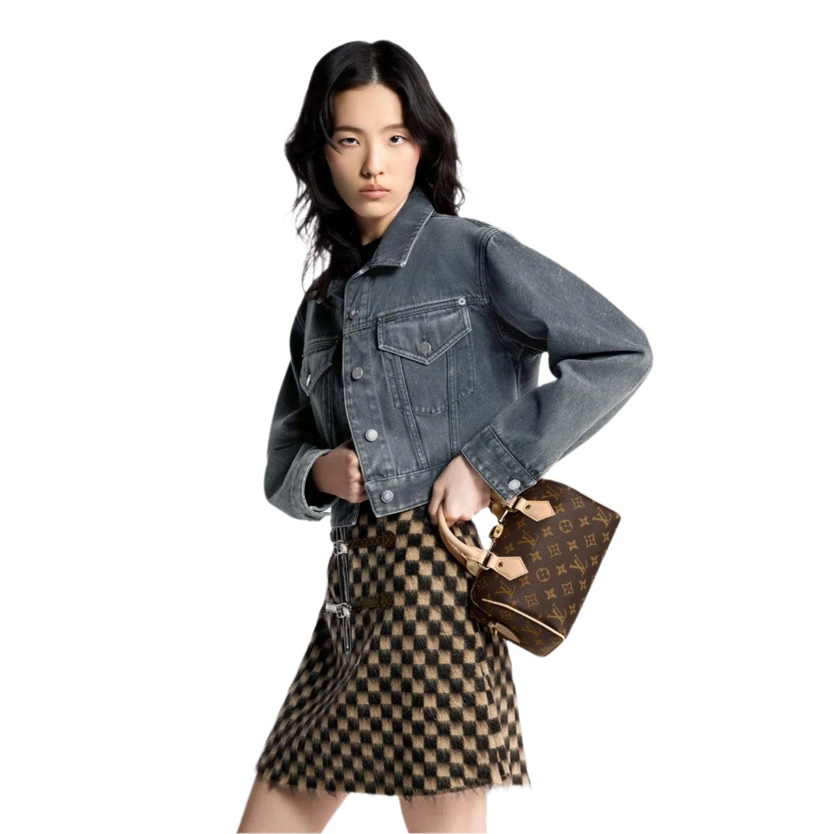LV Monogram Speedy Bag 20 7
