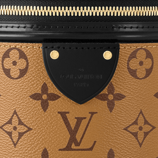 LV Cannes Monogram Reverse 5