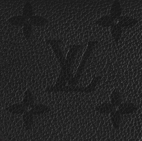 Louis Vuitton Clea Wallet Black - BEAUTY BAR