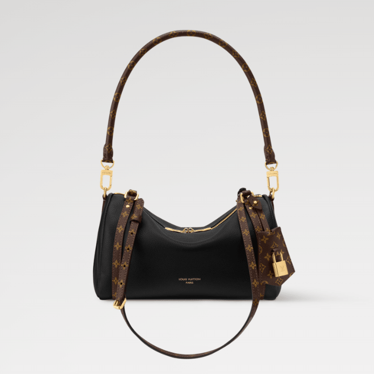 Louis Vuitton Express PM 1