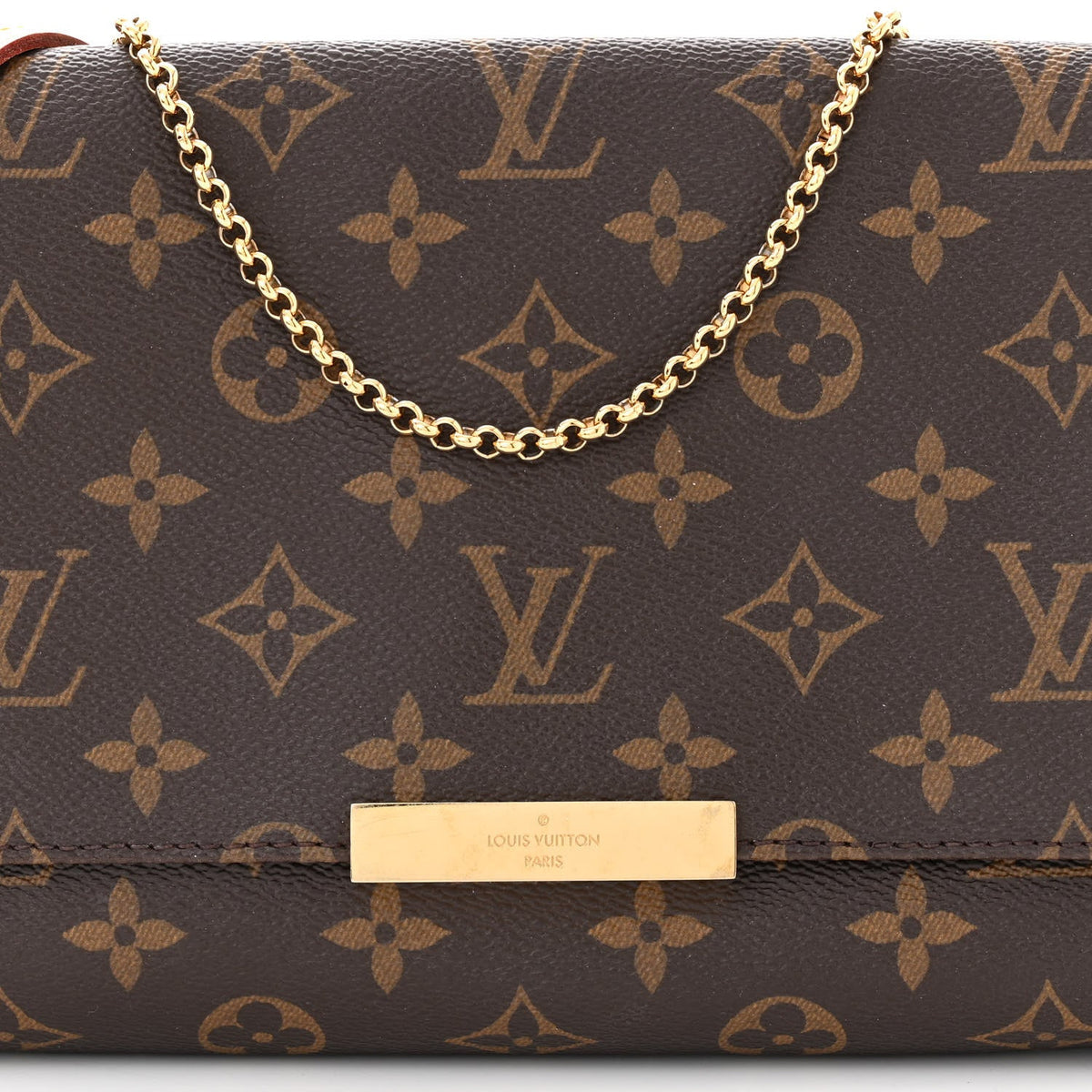 Louis Vuitton Monogram Favorite MM Brown Bag 4