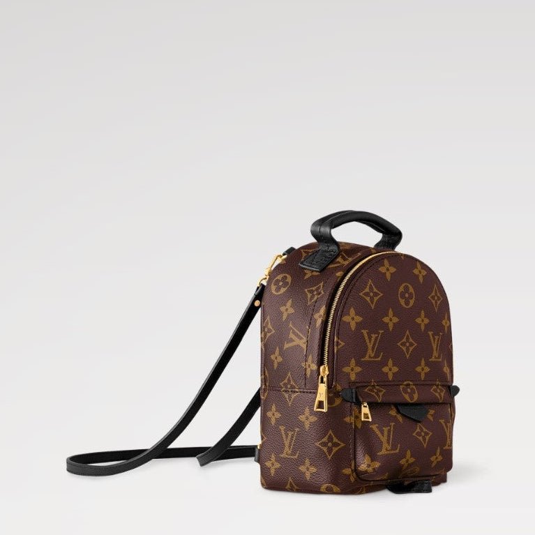Louis Vuitton Monogram Palm Springs Backpack Mini 4