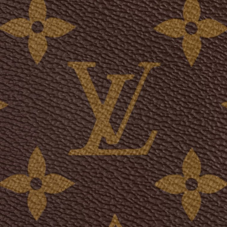 Louis Vuitton Monogram Palm Springs Backpack Mini 7