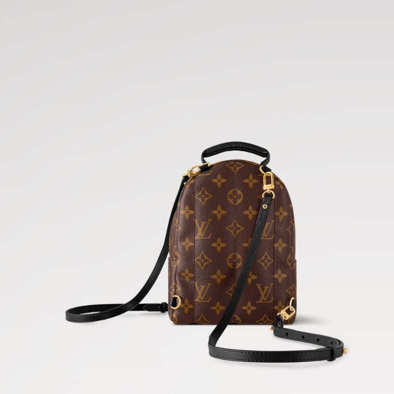 Louis Vuitton Monogram Palm Springs Backpack Mini 5