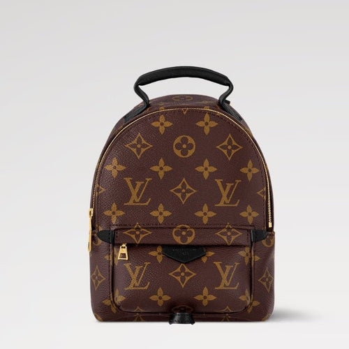 Louis Vuitton Monogram Palm Springs Backpack Mini