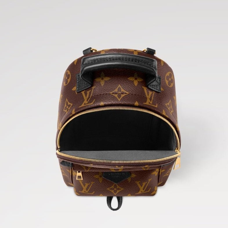 Louis Vuitton Monogram Palm Springs Backpack Mini 6